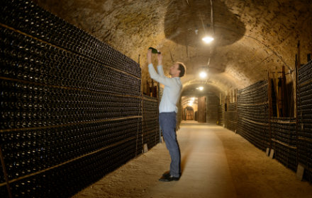 Jean de Saint-Venant in the cellars of Valmer