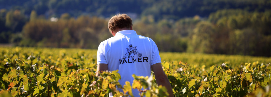 Jean de Saint-Venant in the vineyards of Valmer © Léonard de Serres