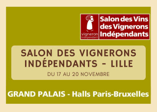 Valmer à Lille - Grand Palais - du 17 au 20 novembre 2023