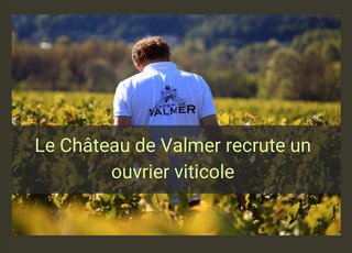 Valmer recherche un(e) ouvrier(e) viticole